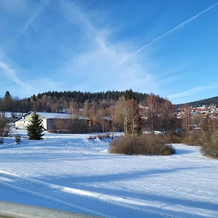 Bergzauber Bayerwald - Voll Ausgestattetes Familienapartment Mit Pool 아파트 *