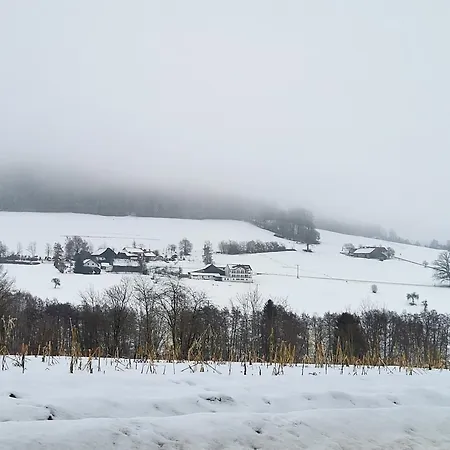 Bergzauber Bayerwald - Voll Ausgestattetes Familienapartment Mit Pool