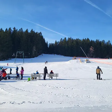 Bergzauber Bayerwald - Voll Ausgestattetes Familienapartment Mit Pool 아파트