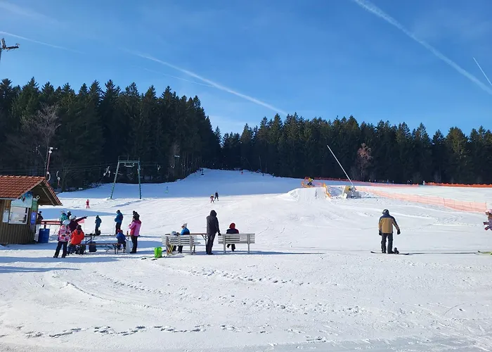 Bergzauber Bayerwald - Familienapartment Mit Pool شقة