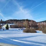 Bergzauber Bayerwald - Voll Ausgestattetes Familienapartment Mit Pool 公寓 *