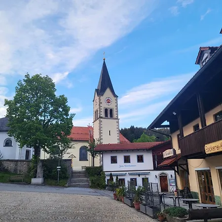 Bergzauber Bayerwald - Voll Ausgestattetes Familienapartment Mit Pool