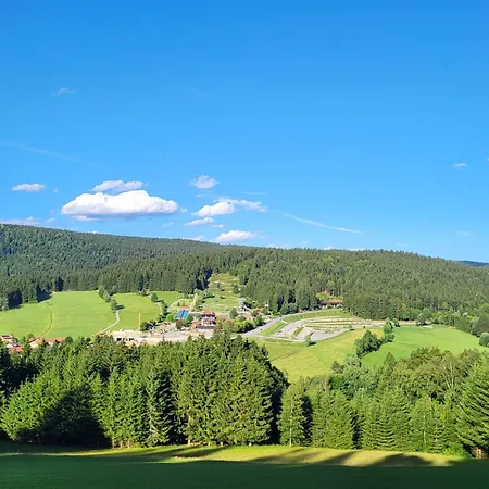 Bergzauber Bayerwald - Voll Ausgestattetes Familienapartment Mit Pool Sankt Englmar