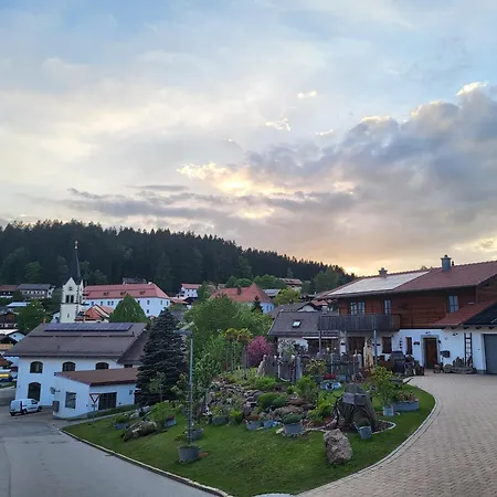 Apartamento Bergzauber Bayerwald - Voll Ausgestattetes Familienapartment Mit Pool Sankt Englmar