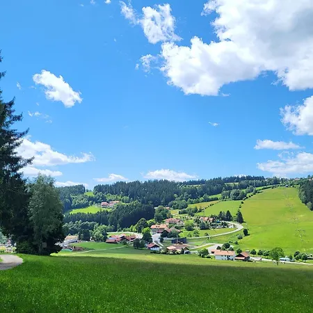 Bergzauber Bayerwald - Voll Ausgestattetes Familienapartment Mit Pool