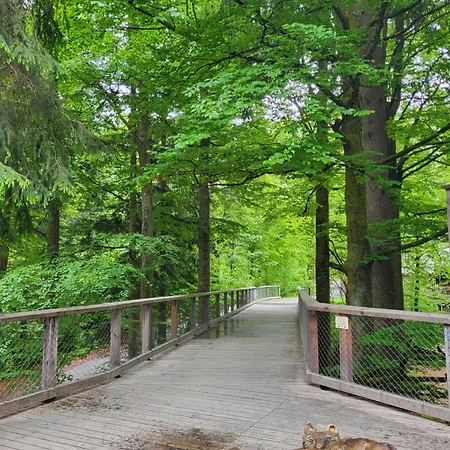 Bergzauber Bayerwald - Voll Ausgestattetes Familienapartment Mit Pool Apartamento Sankt Englmar
