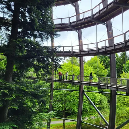 Apartamento Bergzauber Bayerwald - Voll Ausgestattetes Familienapartment Mit Pool Sankt Englmar