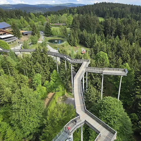 Bergzauber Bayerwald - Voll Ausgestattetes Familienapartment Mit Pool * Sankt Englmar