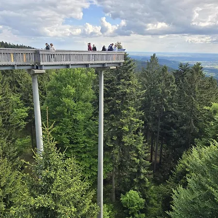 Bergzauber Bayerwald - Voll Ausgestattetes Familienapartment Mit Pool