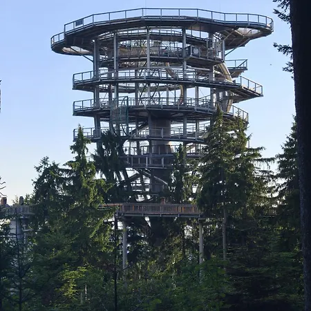 Bergzauber Bayerwald - Voll Ausgestattetes Familienapartment Mit Pool Apartamento *