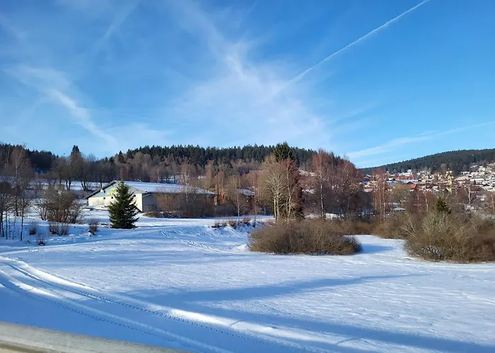 Bergzauber Bayerwald - Familienapartment Mit Pool Apartament *