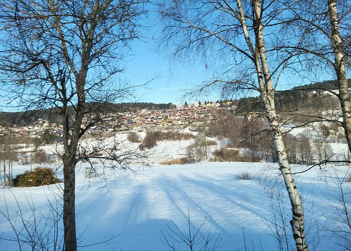 Bergzauber Bayerwald - Familienapartment Mit Pool Apartament *