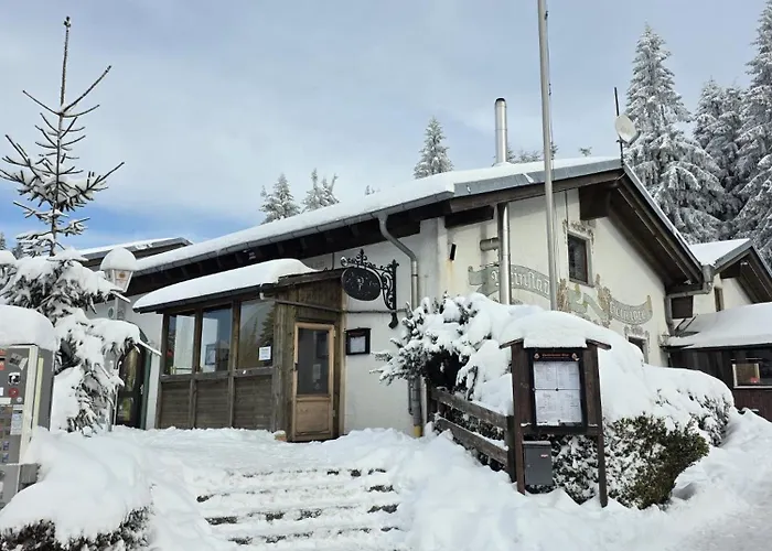 Bergzauber Bayerwald - Voll Ausgestattetes Familienapartment Mit Pool *