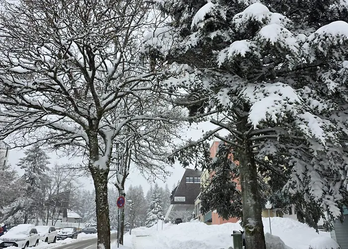 Bergzauber Bayerwald - Familienapartment Mit Pool Sankt Englmar